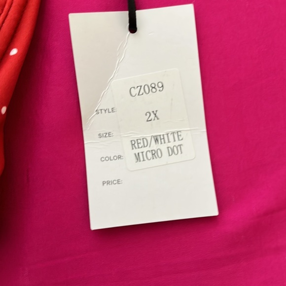 Pinup style Two piece bathing suit - Picture 4 of 5